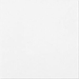 Azulejo Cerâmico Branco Brilho 20 x 20 cm